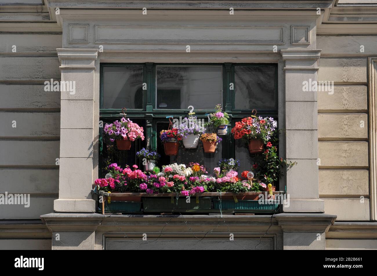 Blumen, Fenster, Kolonnenstrasse, Schoeneberg, Berlino, Deutschland Foto Stock