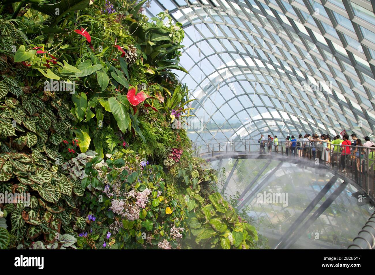 Giardini Botanici, Singapore Foto Stock