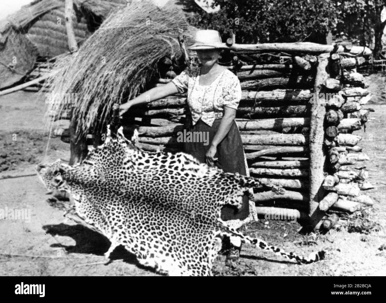 Un tedesco con una pelle leopardata davanti ad una trappola fatta di tronchi d'albero. Immagine non ondulata. Foto Stock