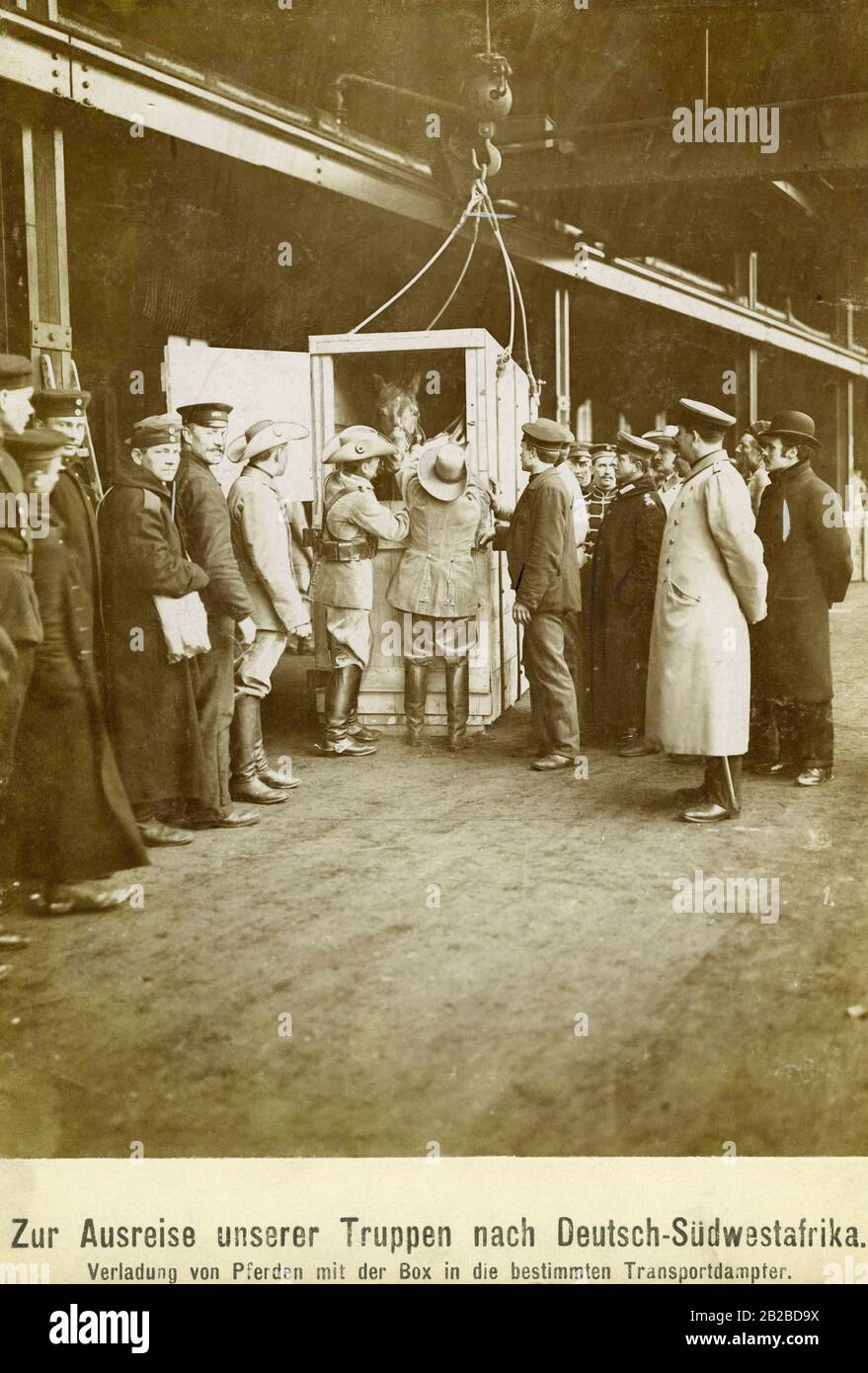 Partenza delle truppe coloniali tedesche verso il Sudafrica tedesco, dove il nativo Herero iniziò una lotta contro i funzionari coloniali tedeschi. Nella foto un cavallo in una scatola è caricato su un vaporiera di trasporto. Foto Stock
