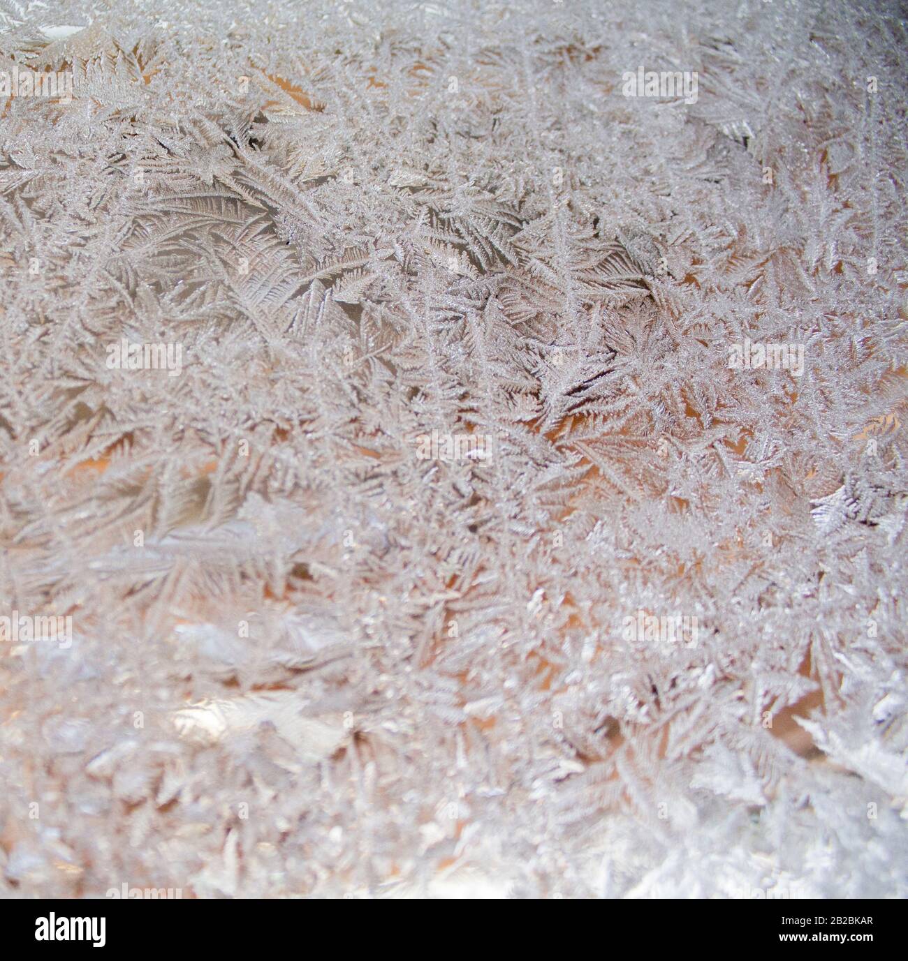 Schema di congelamento ornato sul finestrino smerigliato Foto Stock