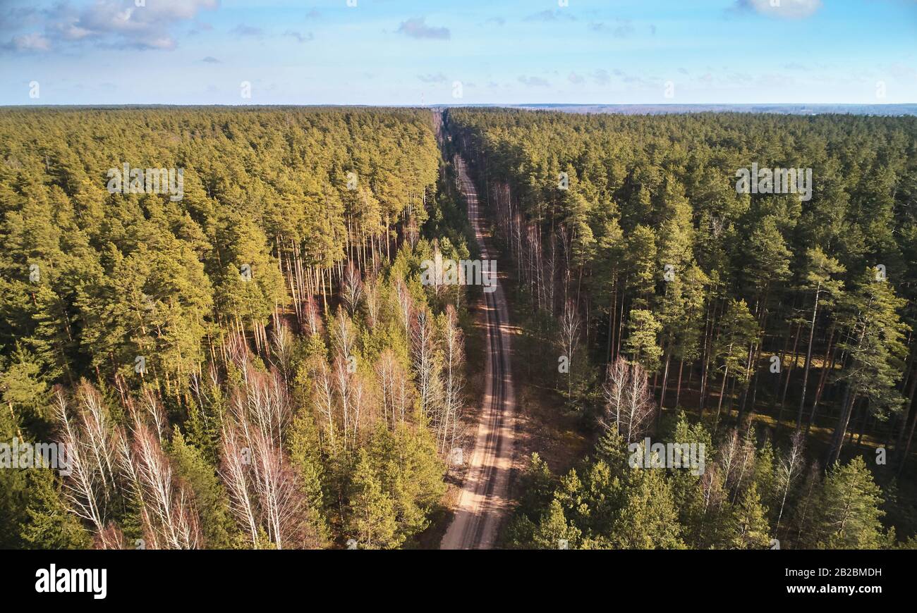 Strada sporca corsia al centro della foresta sopra la vista dall'alto Foto Stock