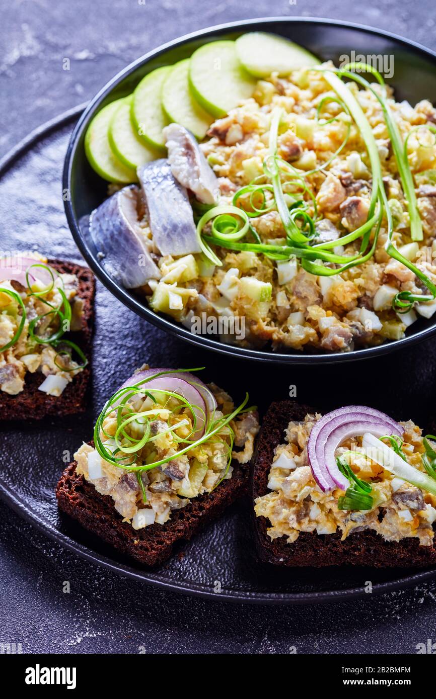 Classico forshmak ebraico sovietico o antipasto di aringa di filetto di aringa, mela verde, cipolla, mescolato con burro morbido spalmato su pane di segale tostati serviti Foto Stock