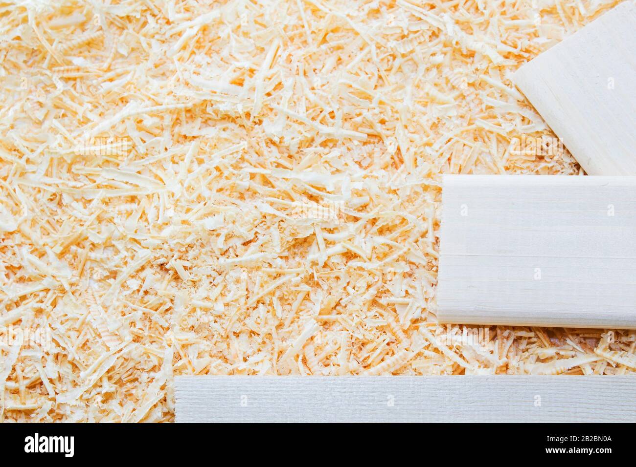 Sfondo di riccioli d'oro di trucioli di legno Foto Stock