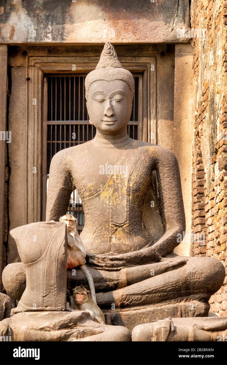 Macaque (Macaca fascicularis) di fronte a Jayabuddhamahanatha (Victoryius Buddha, il Grande protettore) a Prang Sam Yod Foto Stock