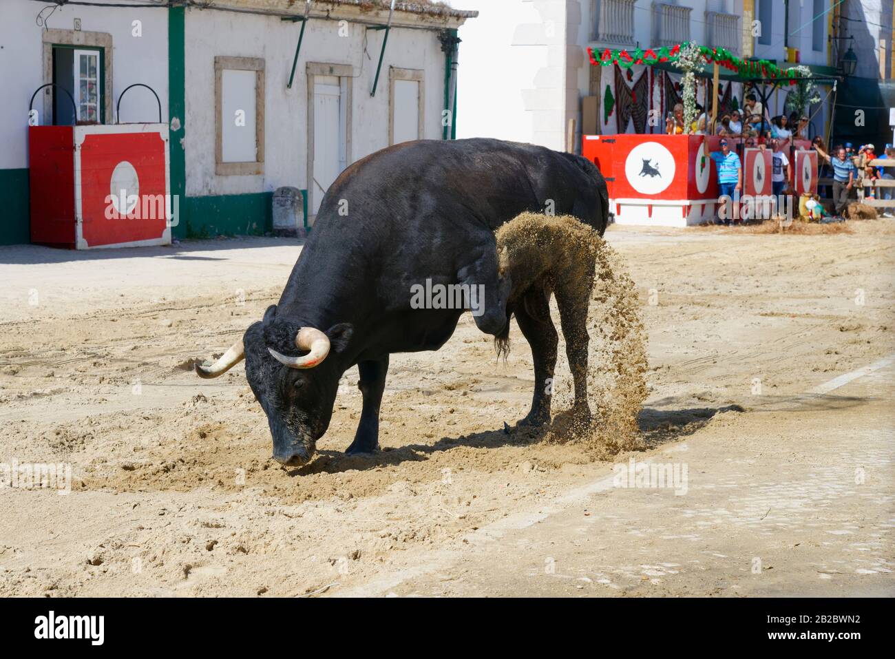 Via corrida durante le Festas do Barrete Verde e das Salinas, Alcochete, Provincia Setubal, Portogallo Foto Stock