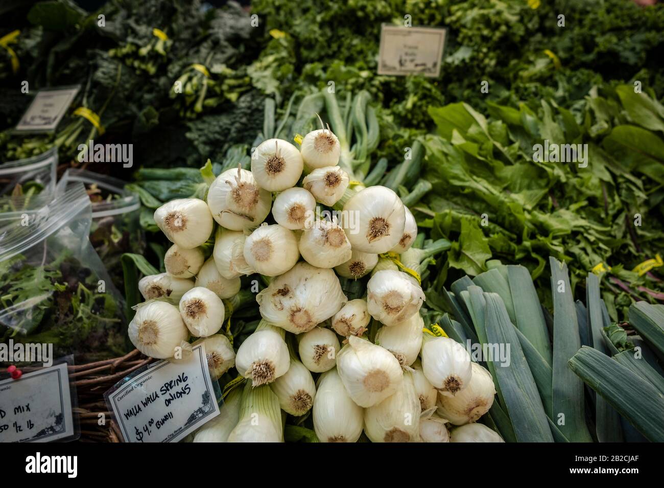 Portland Farmers Market - Parco Shemanski. è un rinomato pranzo e destinazione per lo shopping per il centro di residenti, ufficio dei lavoratori, dei turisti e che quei locali Foto Stock