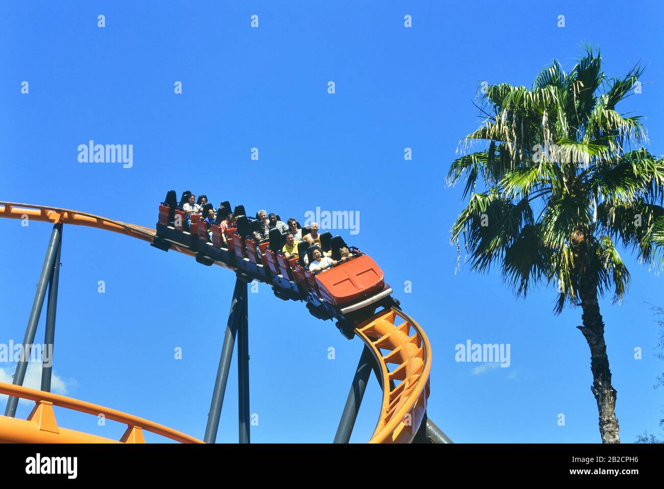 Montagne russe Scorpion. Busch Gardens, Tampa Bay, Florida, Stati Uniti. Foto Stock