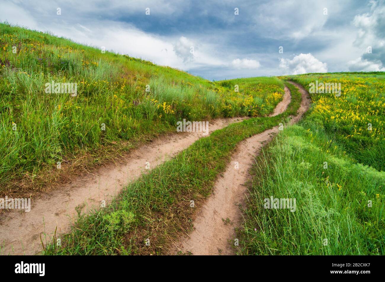 Strada sterrata curva nelle colline verdi. Vibrante paesaggio estivo Foto Stock