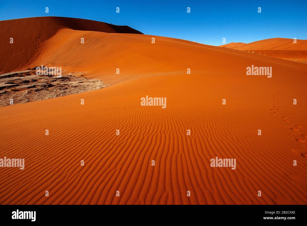 Dune Rosse Vicino A Dead Vlei, Sossusvlei, Namib Naukluft National Park, Namibia Foto Stock