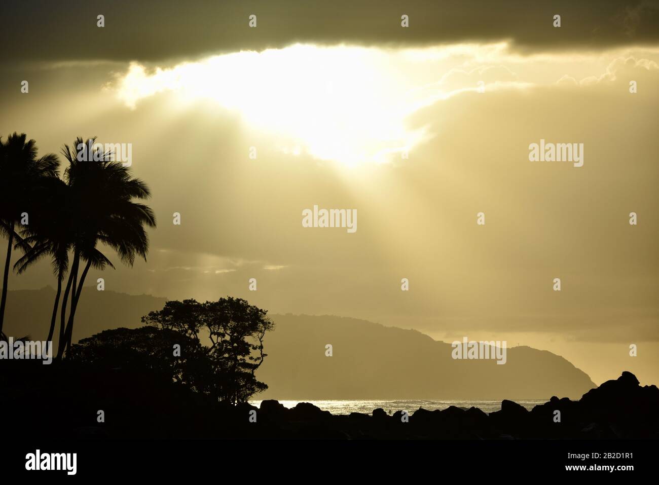 Tramonto spettacolare, con nuvole che piercing raggi del sole, palme silhouette sulla costa costiera sulla costa settentrionale di Oahu, Haleiwa, Hawaii, USA Foto Stock