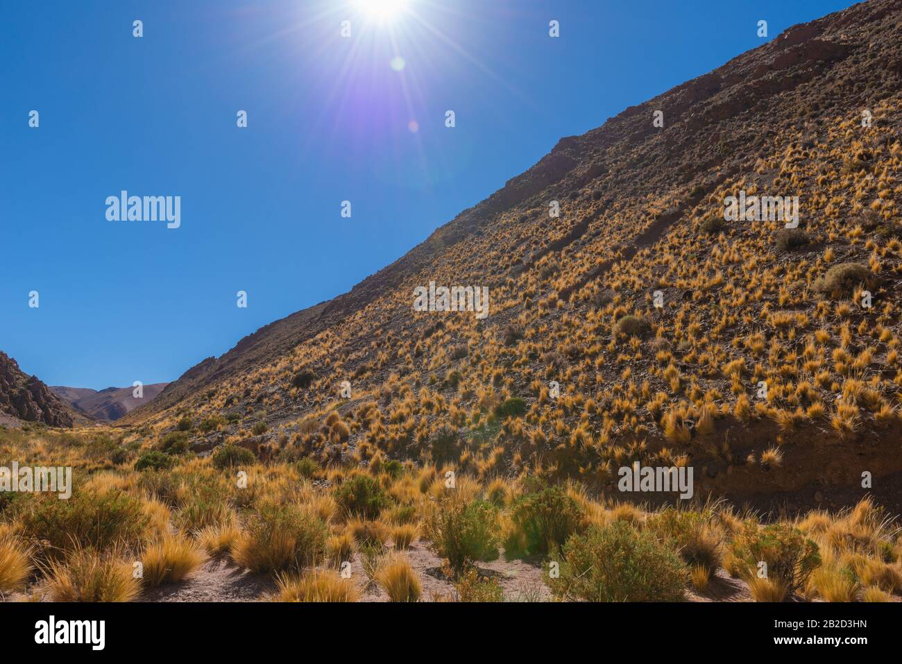 Viaducto la Polvorilla, 4200m ALS, stazione finale del 'Tren a las Nubes' o 'treno per le Nuvole' Provincia di Salta, Ande, Argentina, America Latina Foto Stock