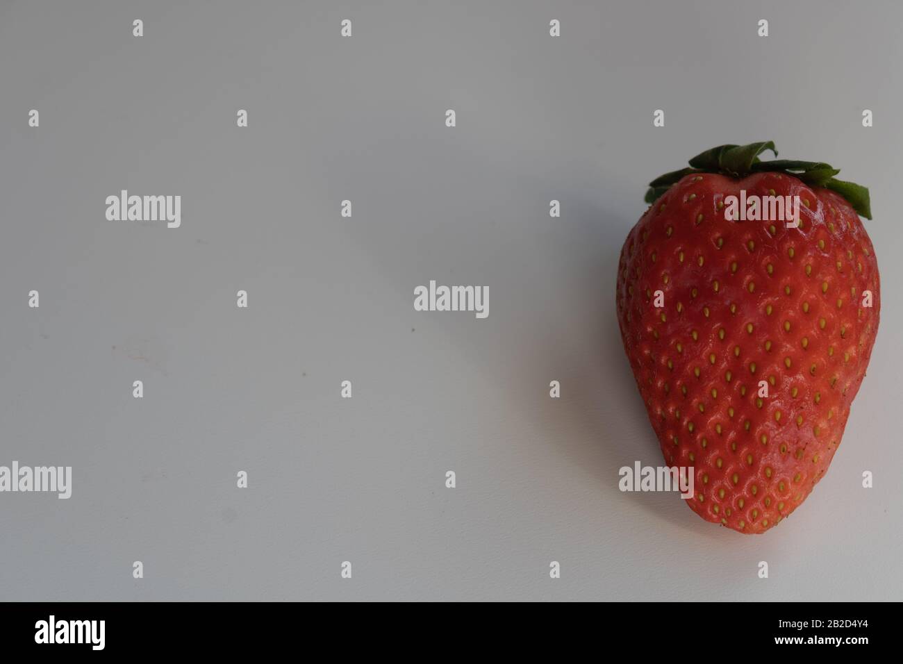 fragola isolato sfondo bianco spostato verso destra Foto Stock