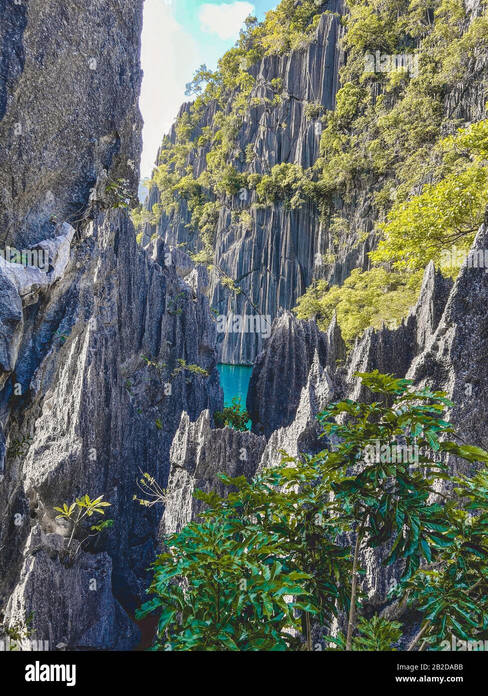 Lago Barracuda a Coron, Palawan, Filippine Foto Stock