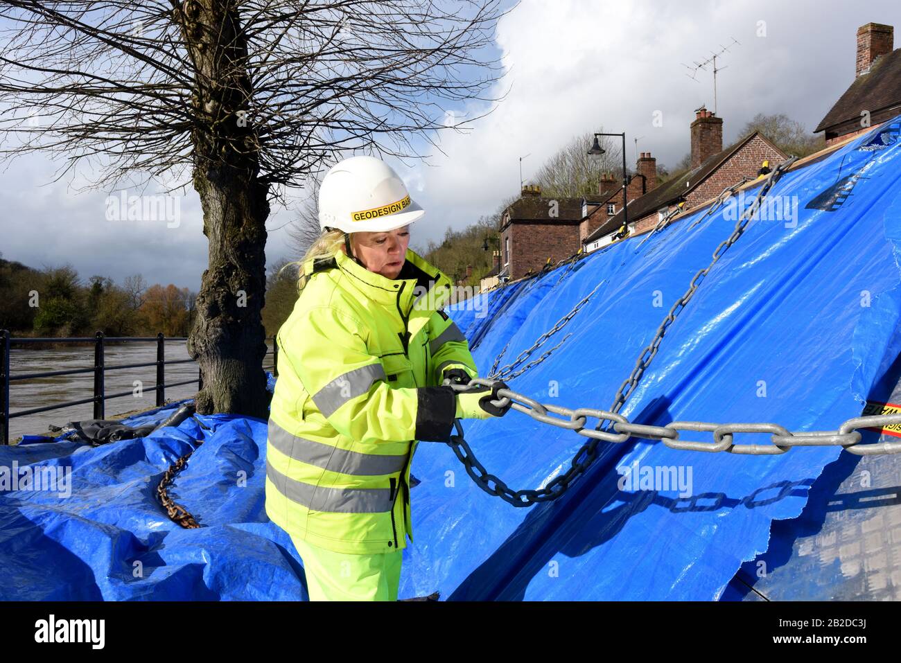 Britt Warg il responsabile britannico di Geodesign Barriers Ltd che ispeziona le barriere di difesa dalle inondazioni sul Wharfage a Ironbridge dopo che sono state allacciate dal Riv Foto Stock