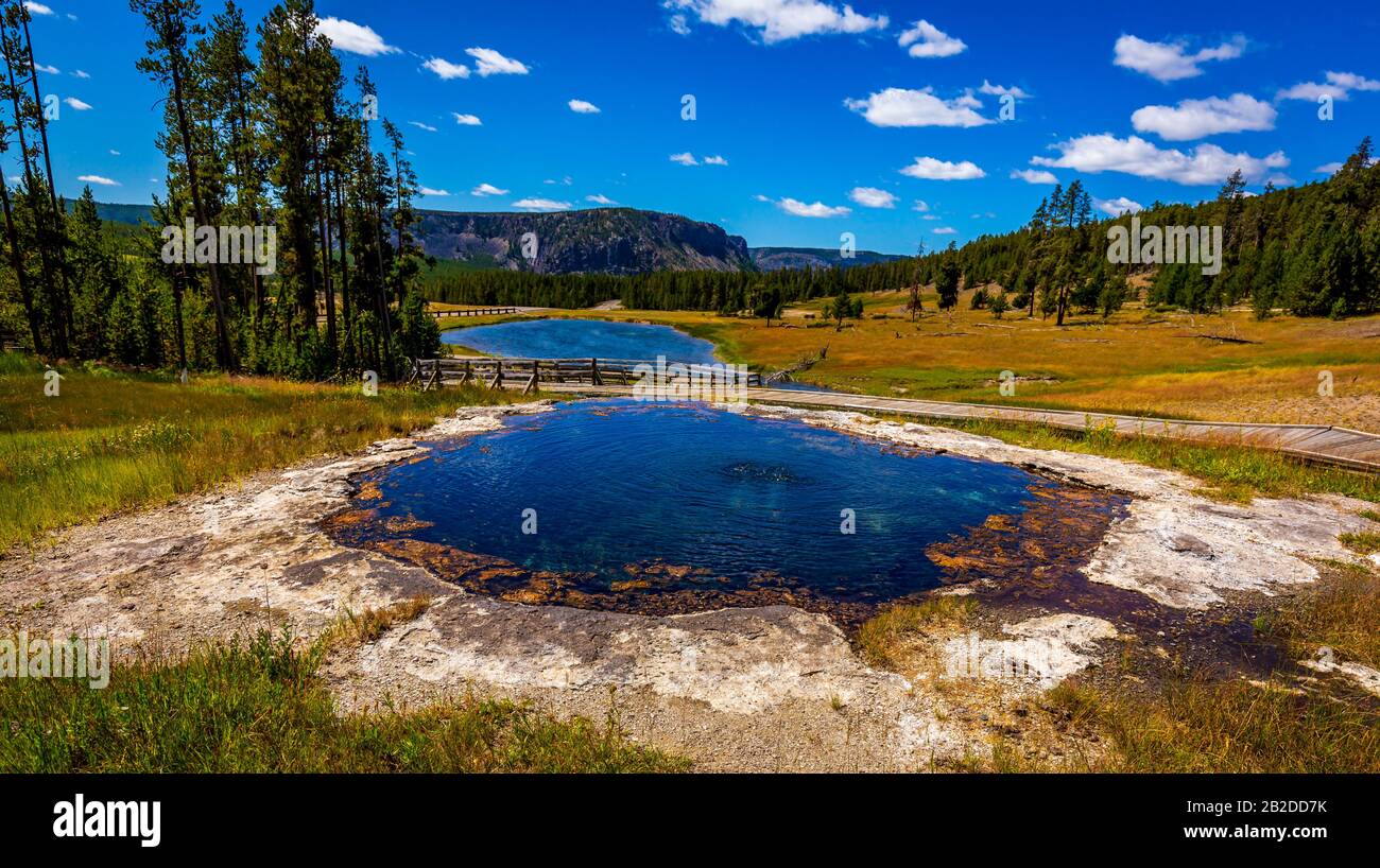 Terrace Spring è un piccolo gruppo di caratteristiche termali nel Parco Nazionale di Yellowstone Foto Stock