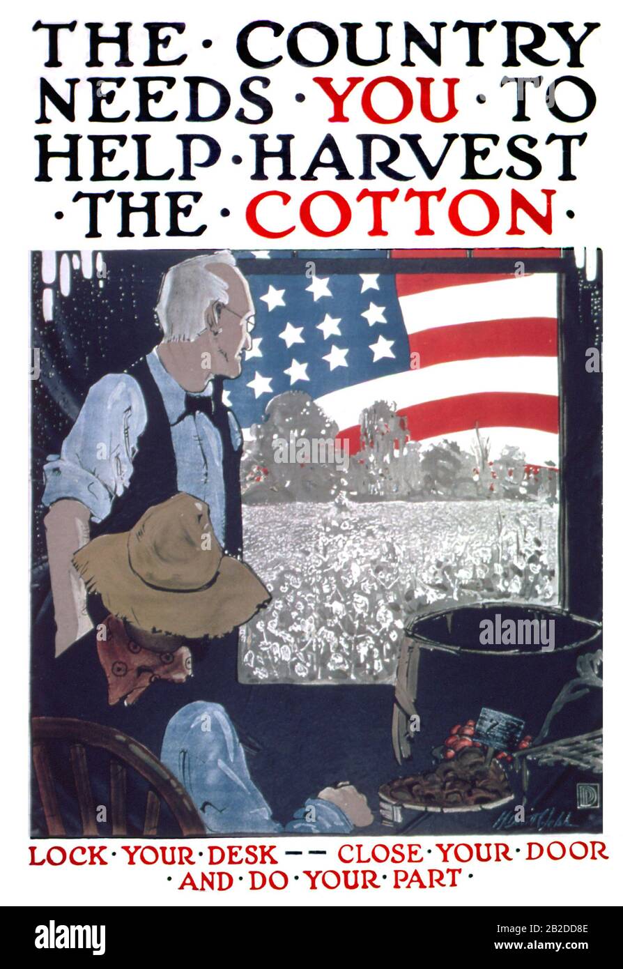 Il Paese Ha Bisogno Di Voi Per Aiutare Harvest The Cotton Foto Stock