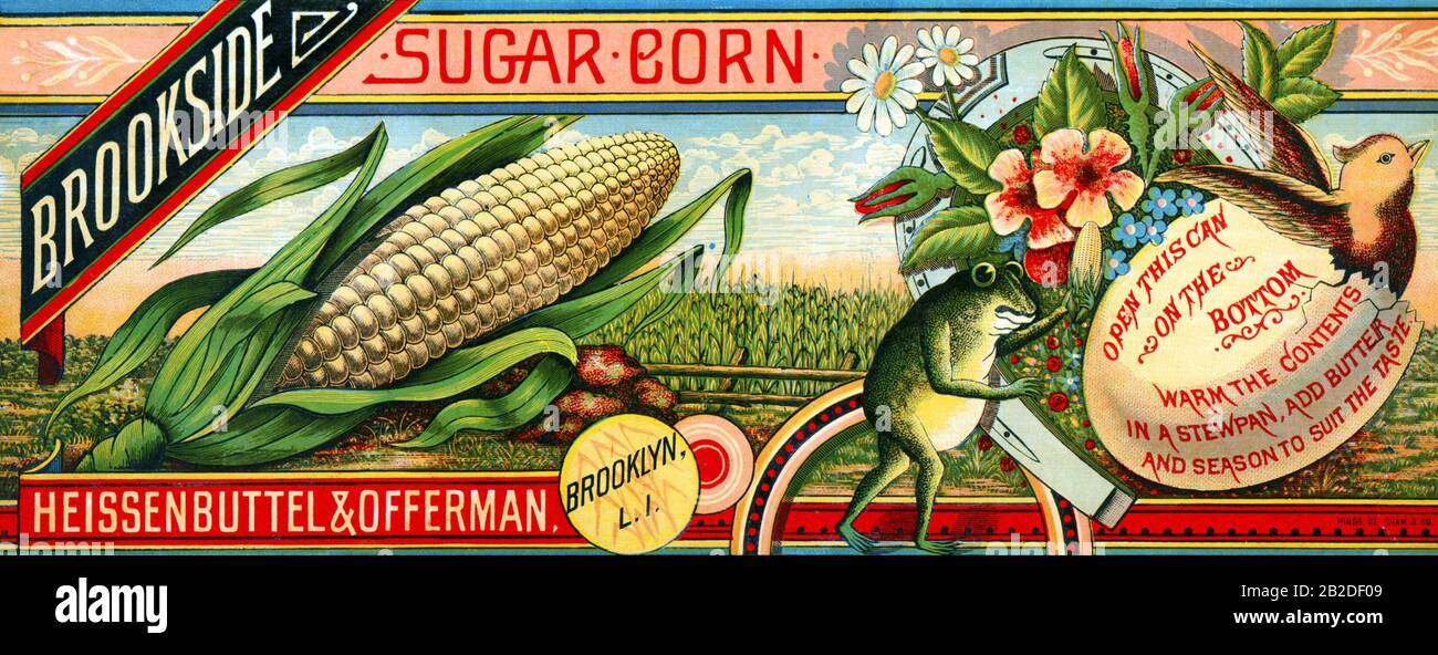 Brookside Sugar Corn Foto Stock