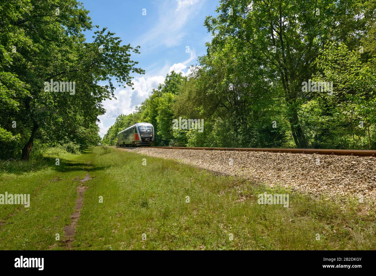 Moderno treno espresso per passeggeri, che passa attraverso lo sfondo della foresta. Foto Stock