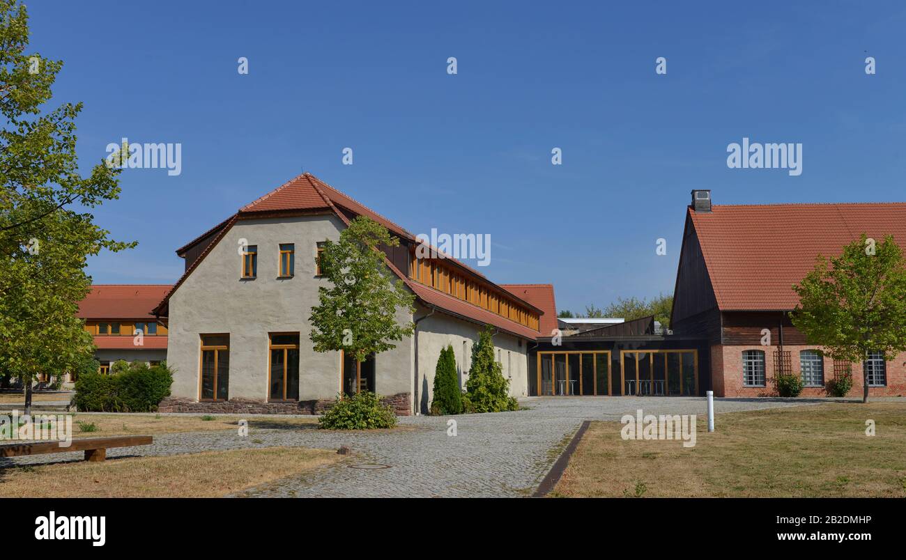 Kloster Helfta, Lutherstadt Eisleben, Sachsen-Anhalt, Deutschland Foto Stock