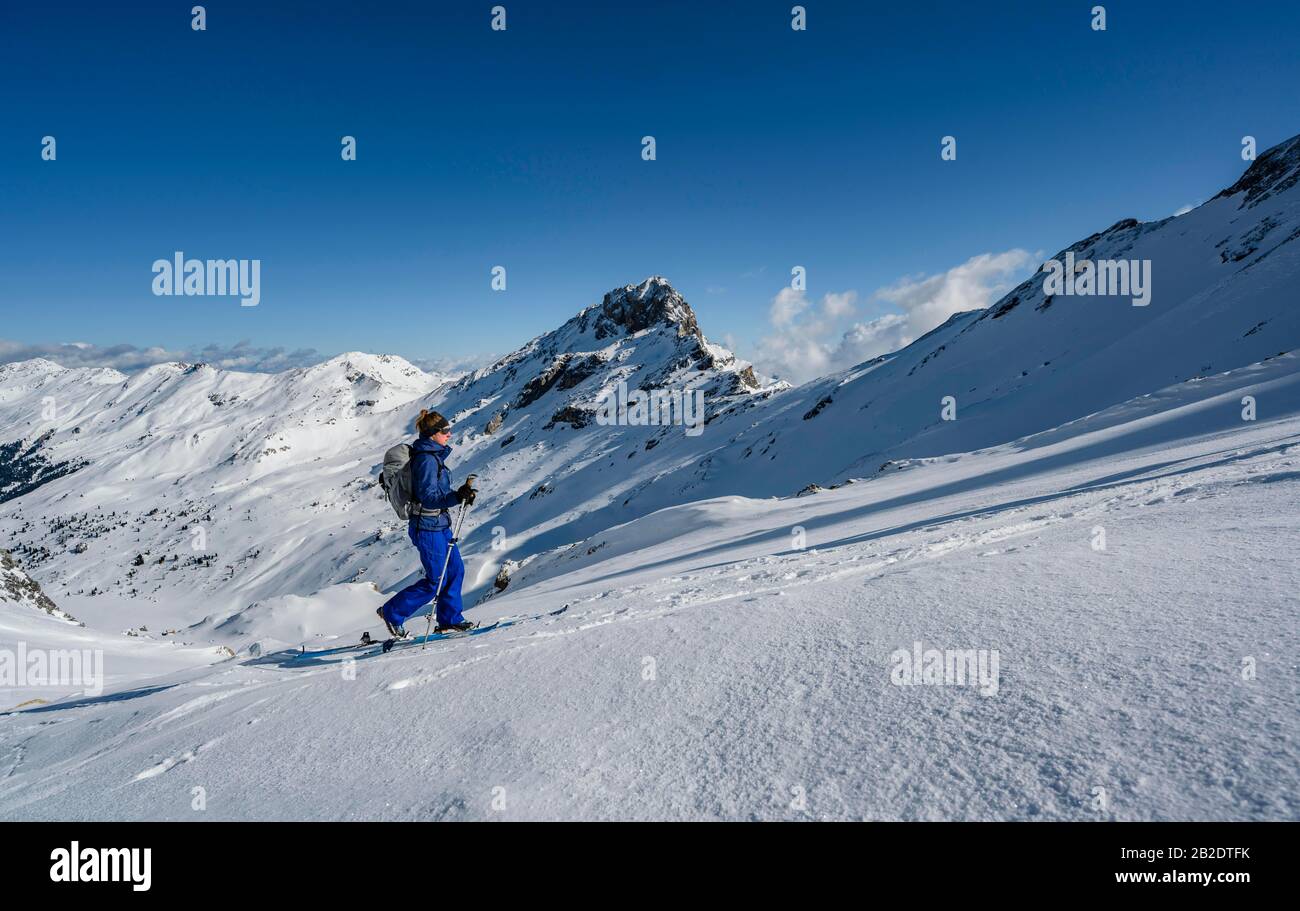 Tour di sci, salita a Geierspitze, Wattentaler Lizum, Alpi Tuxer, Tirolo, Austria Foto Stock