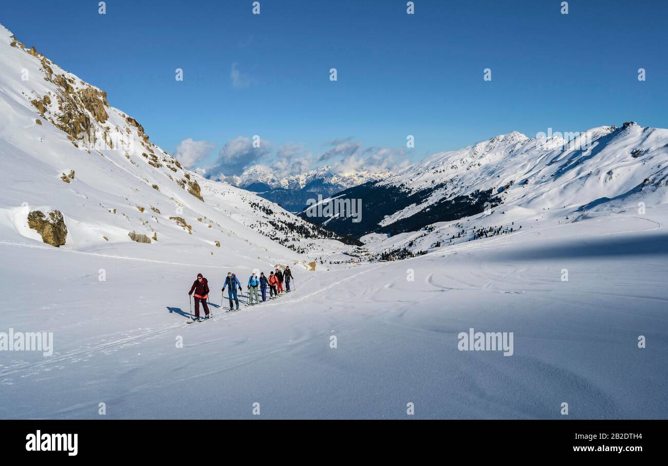 Gruppo di scialpinismo, salita a Geierspitze, Wattentaler Lizum, Alpi Tuxer, Tirolo, Austria Foto Stock
