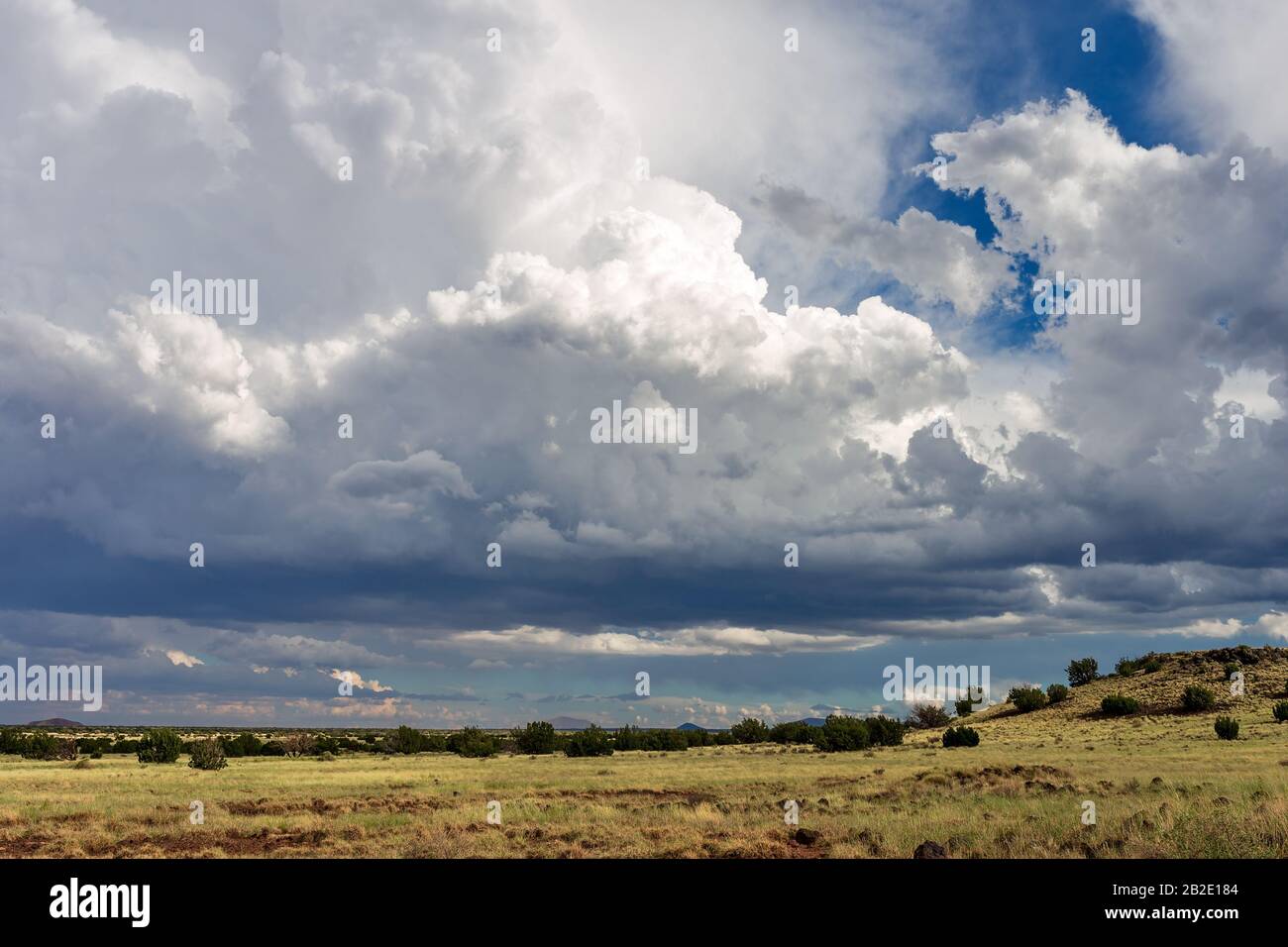 Nuvoloso estivo con nuvole di cumulonimbus bianche e incandescenti da una tempesta di tuore in via di sviluppo vicino a Flagstaff, Arizona Foto Stock