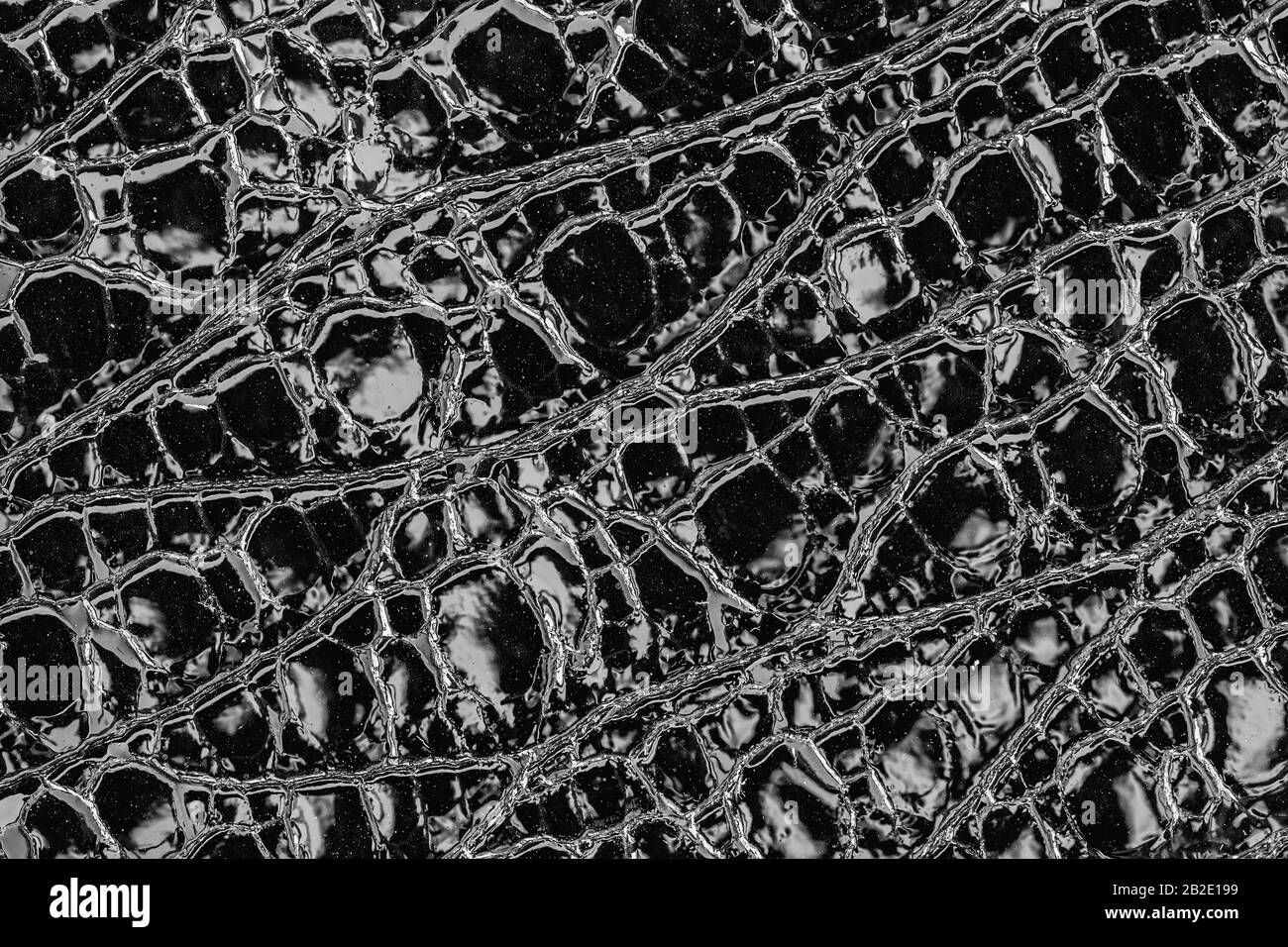 Texture di vera pelle verniciata con scaglie goffrate rettili primo piano, elegante sfondo nero naturale Foto Stock