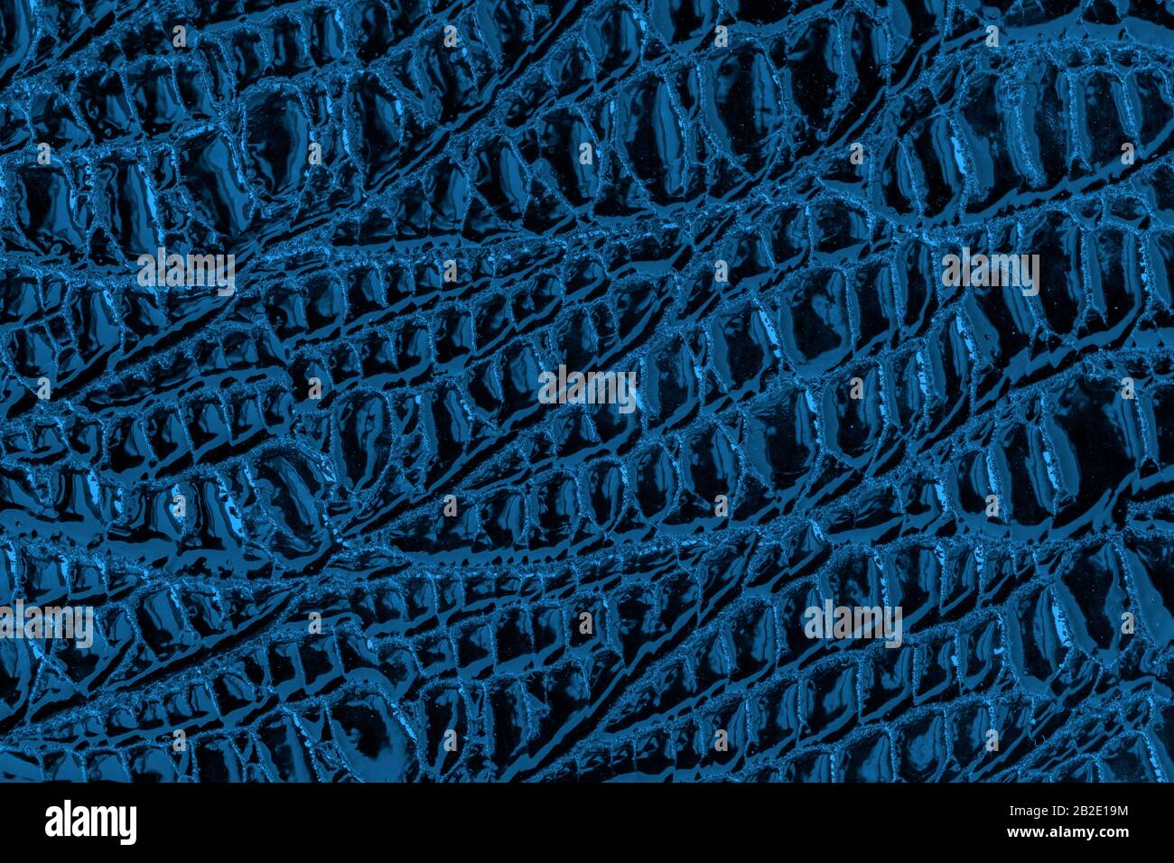 Texture di vera pelle verniciata con scaglie goffrate rettili, motivo tendenza, sfondo blu naturale Foto Stock