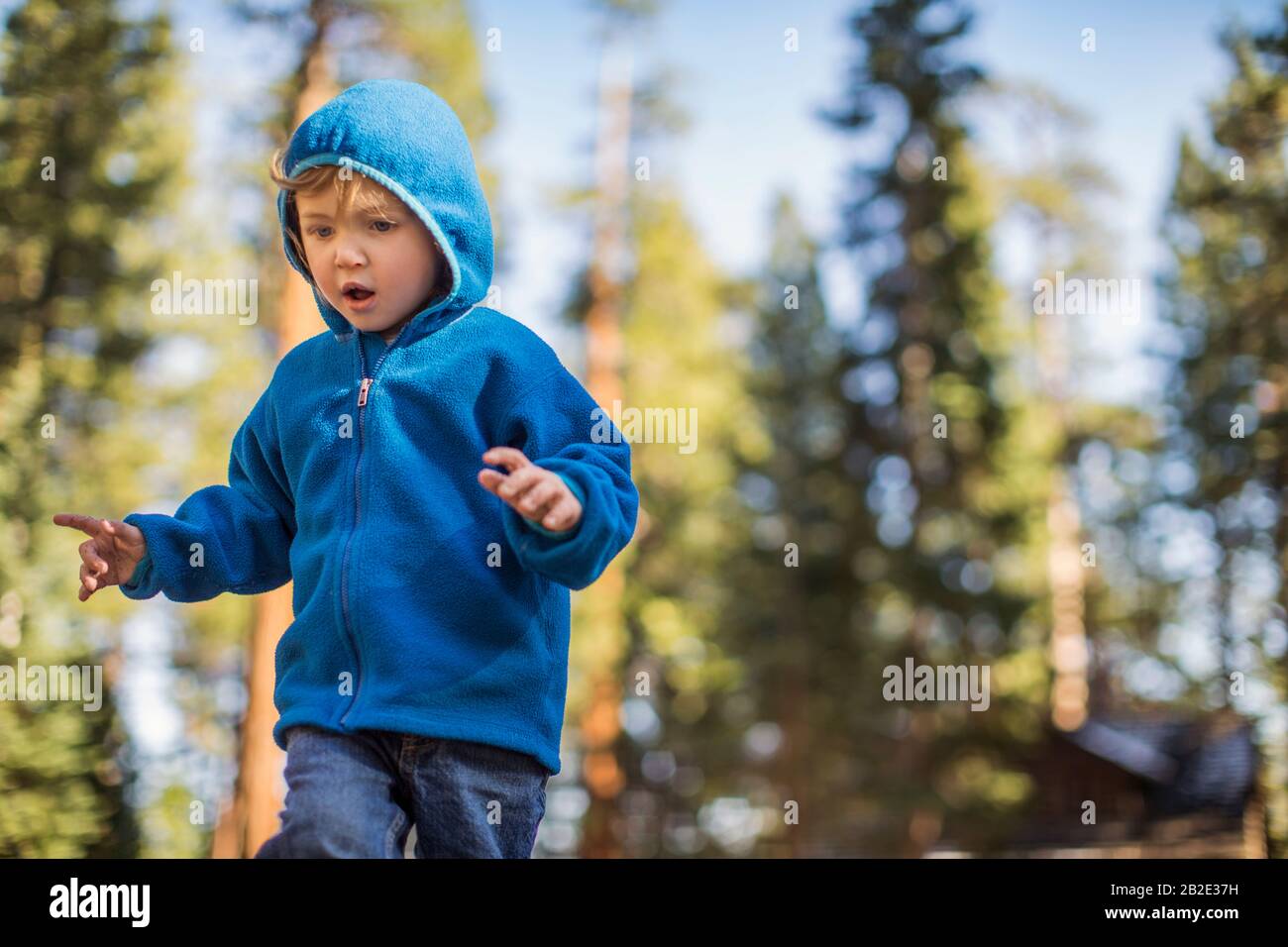 Ragazzo giovane che corre attraverso un parco boscoso Foto Stock