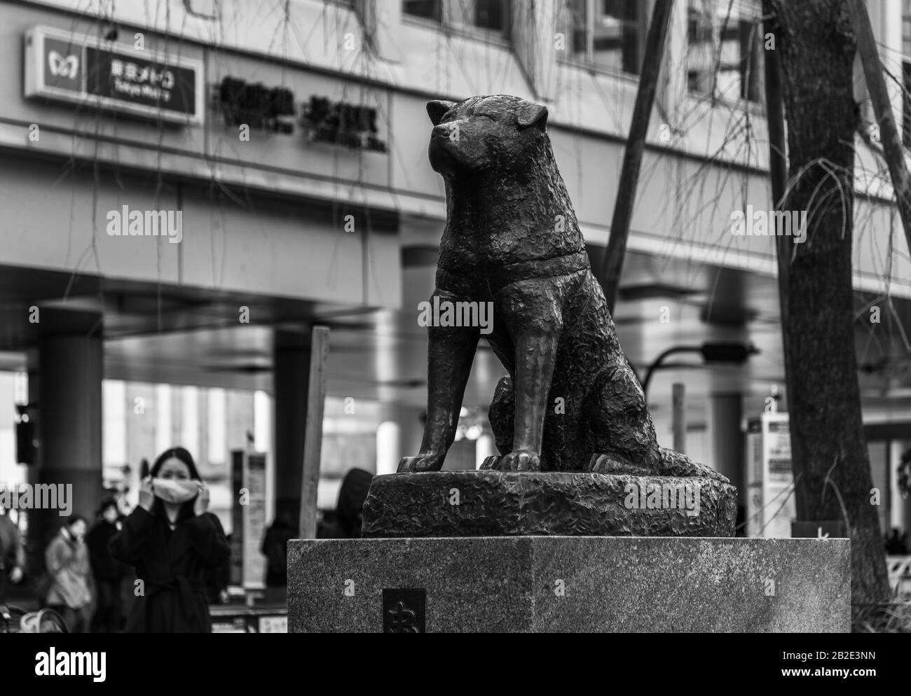 Una foto in bianco e nero della Statua del Memoriale di Hachikō, a Shibuya (Tokyo). Foto Stock