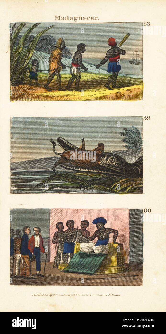 I commercianti di schiavi che conducono una famiglia schiaved al mercato 58, un coccodrillo che afferra un torello 59 e i marinai francesi intrecciati che incontrano il re del Madagascar 60. Incisione su copperplate a mano dalle Scene di Rev. Isaac Taylor in Africa per il divertimento e l'istruzione di Little Tarry-at-Home Travelers, Harris and Son, Londra, 1820. Foto Stock