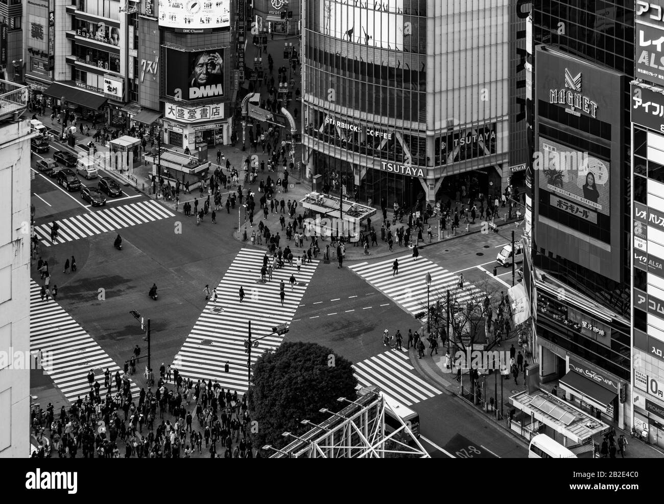 Una foto in bianco e nero del Shibuya Crossing, come visto dall'alto, a Tokyo. Foto Stock