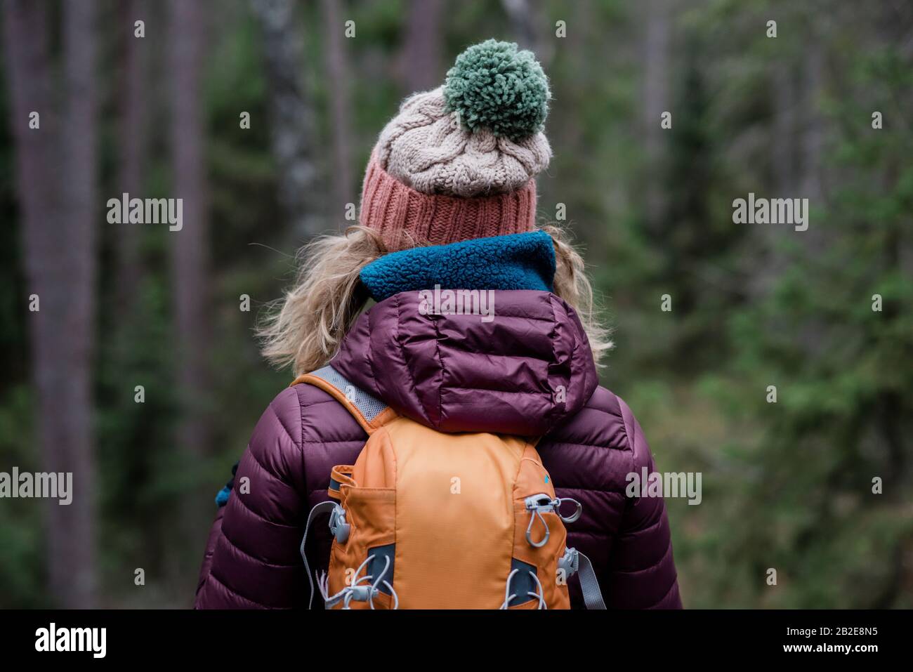 retro di una donna in piedi in una foresta in inverno escursioni con uno zaino Foto Stock