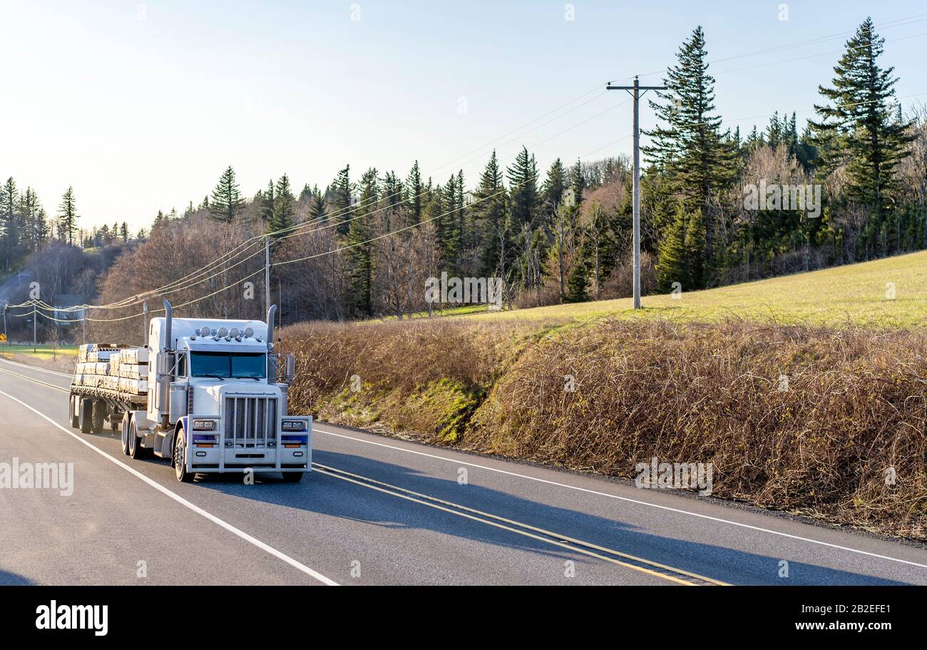 Trasporto industriale Grande carro semi-autocarro classico bianco con potente griglia di protezione che trasporta legname su pianale semi-rimorchio guida Foto Stock