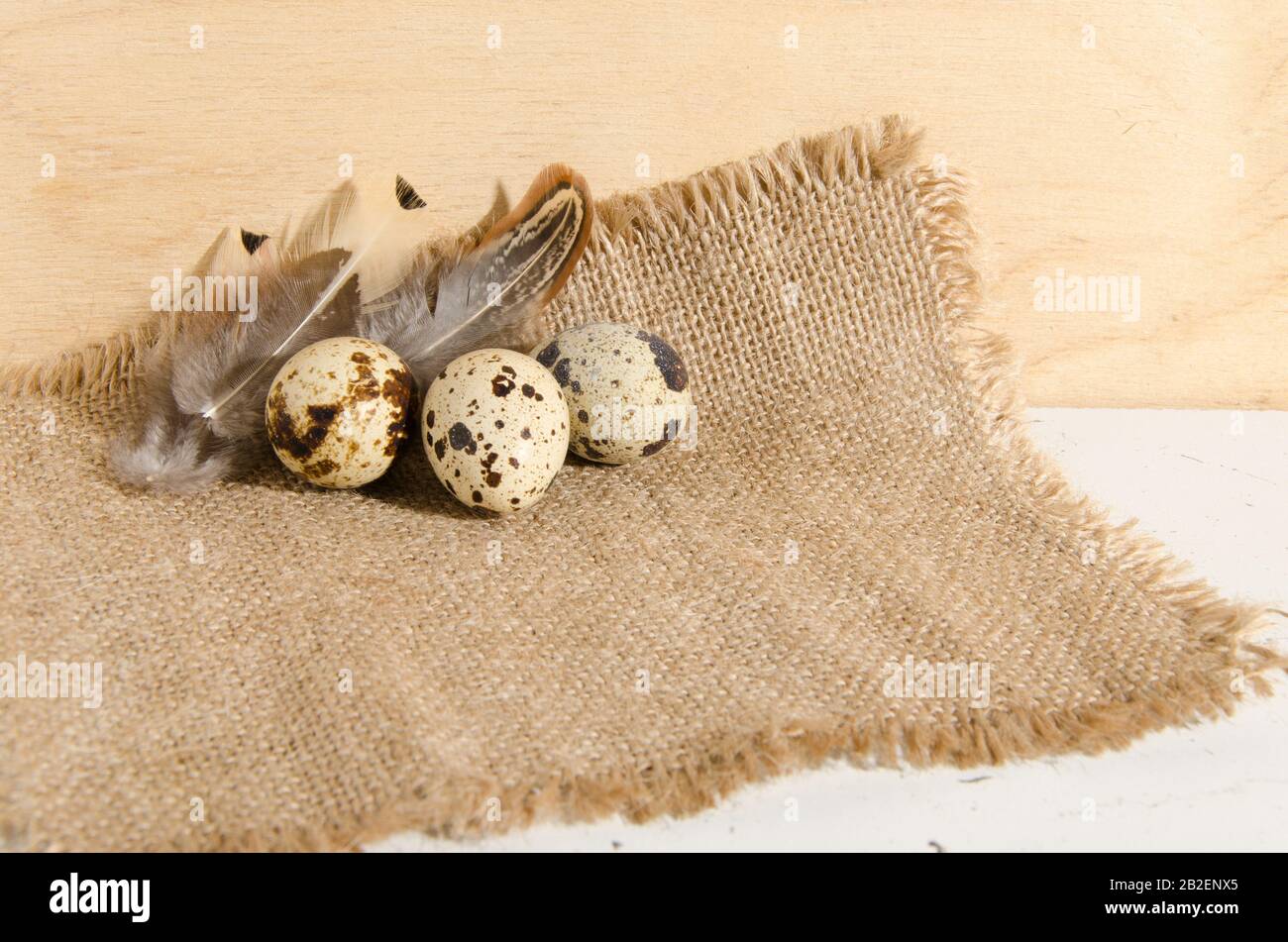Uova di Quail su un panno ruvido burlap con belle piume su uno sfondo di superficie di legno. Foto Stock