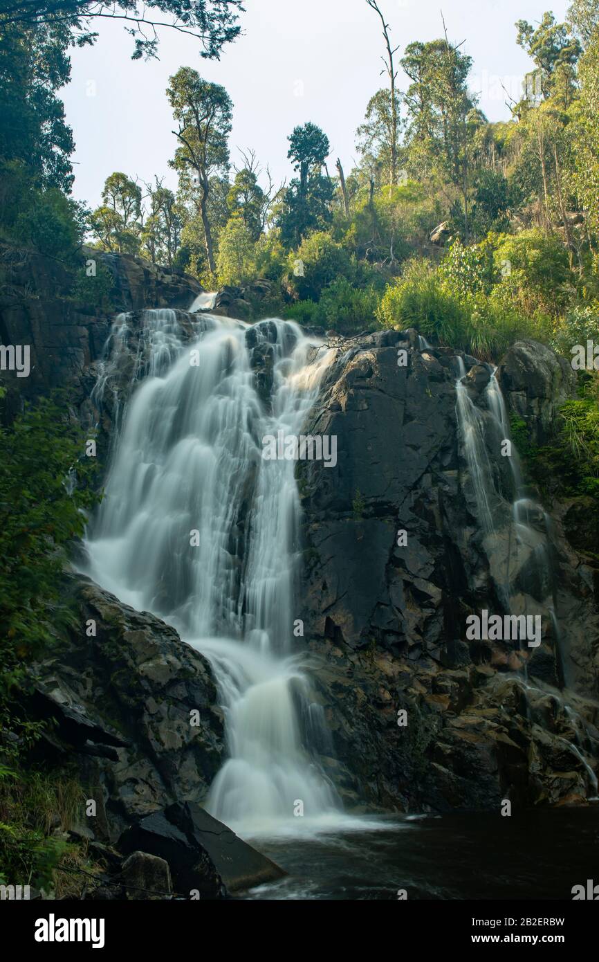 Steavenson Falls, Vicino A Marysville, Victoria, Australia Foto Stock