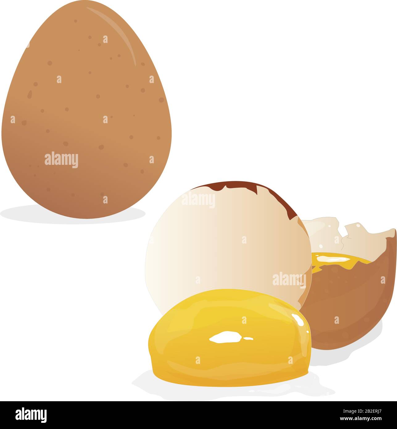 Uova vettore illustrazione set isolato su sfondo bianco Illustrazione Vettoriale