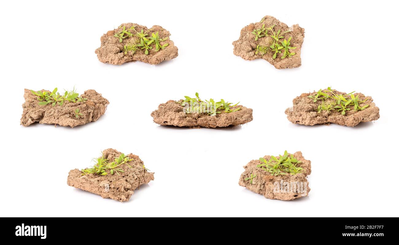 Pezzo di terra cracked peeling dal fiume in stagione di siccità isolato su sfondo bianco Foto Stock