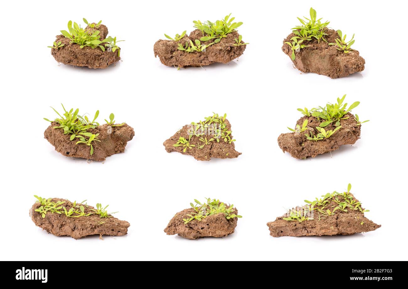 Pezzo di terra cracked peeling dal fiume in stagione di siccità isolato su sfondo bianco Foto Stock