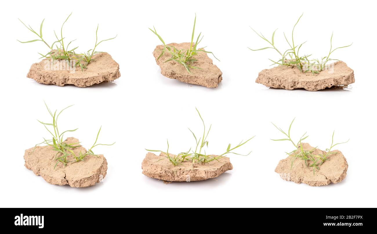 Pezzo di terra cracked peeling dal fiume in stagione di siccità isolato su sfondo bianco Foto Stock