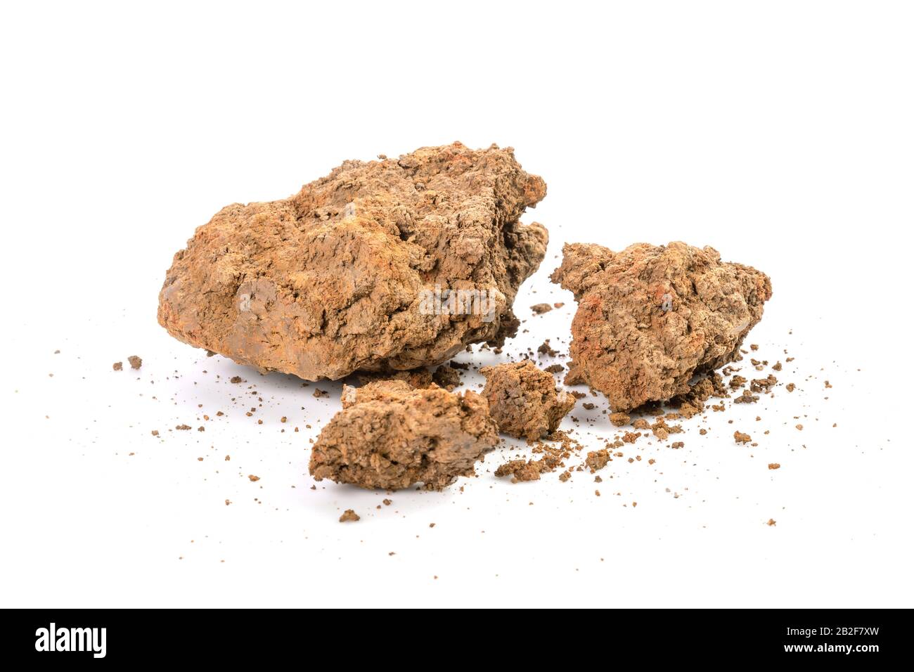 Grumo di suolo per piantare isolato su sfondo bianco Foto Stock