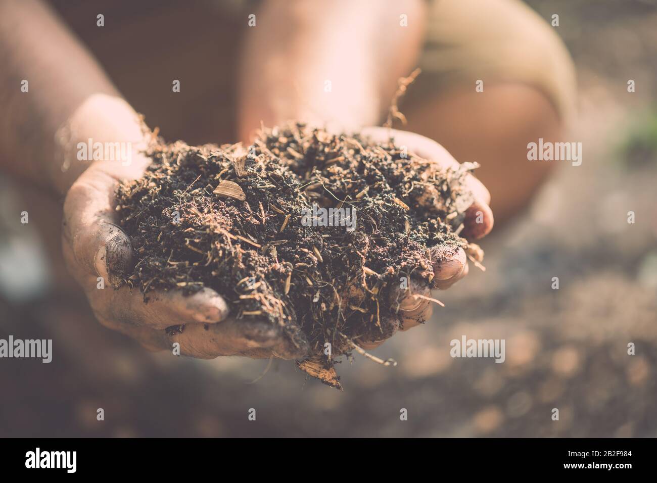 Chiudere mano che tiene suolo misto per pianta nel giardino. Concetto di decorazione di casa e giardino Foto Stock