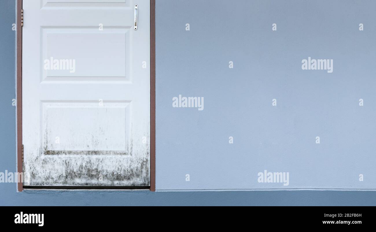 Porta di legno bianco ottenendo stampi neri o funghi effetto dalla stagione piovosa. Con lo spazio grigio della parete di cemento per il testo Foto Stock