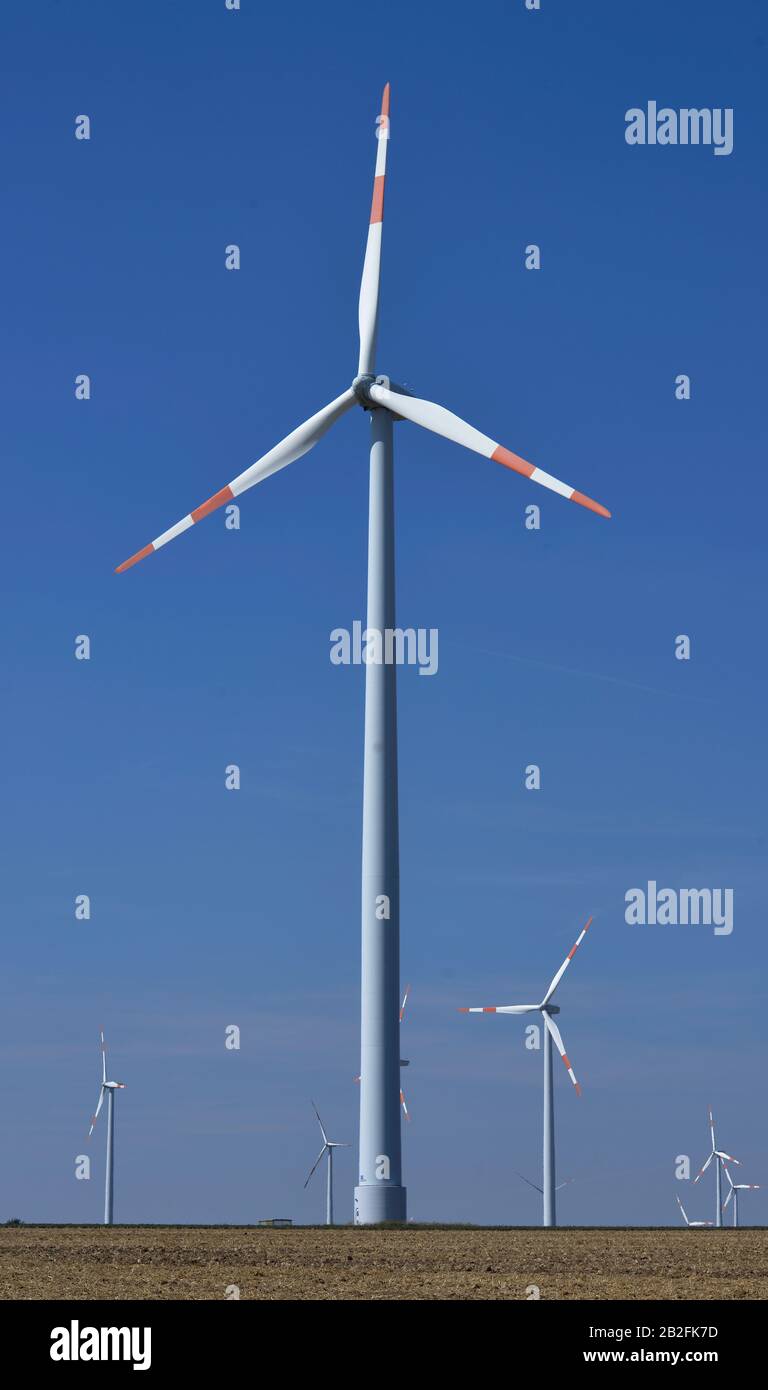 Windenergiefeld, Magdeburger Boerde, Sachsen-Anhalt, Deutschland Foto Stock