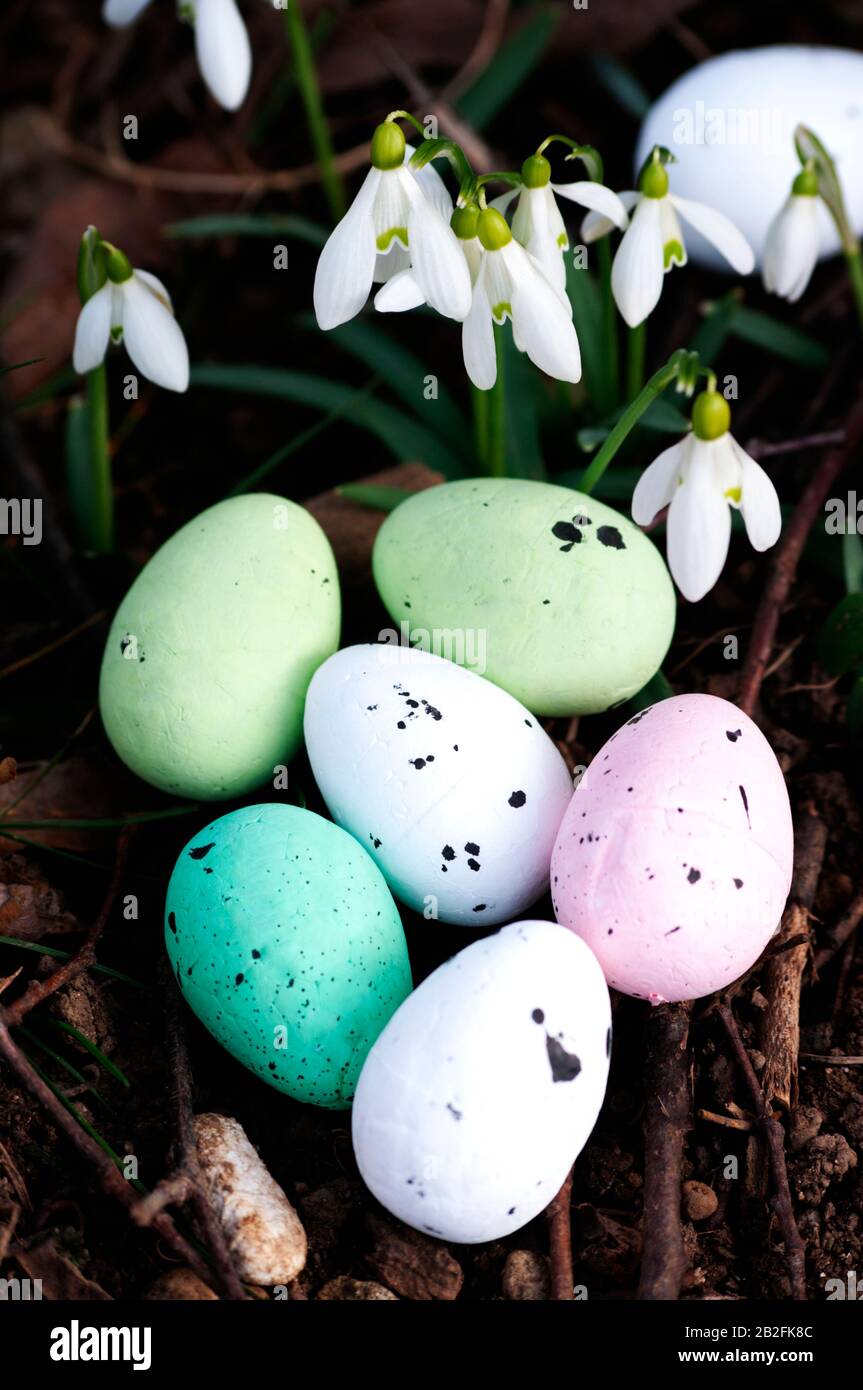 Uova di Pasqua, fiori primaverili di nevicata, foresta. Composizione pasquale. Biglietto di auguri design, cartolina. Primo piano. Foto Stock