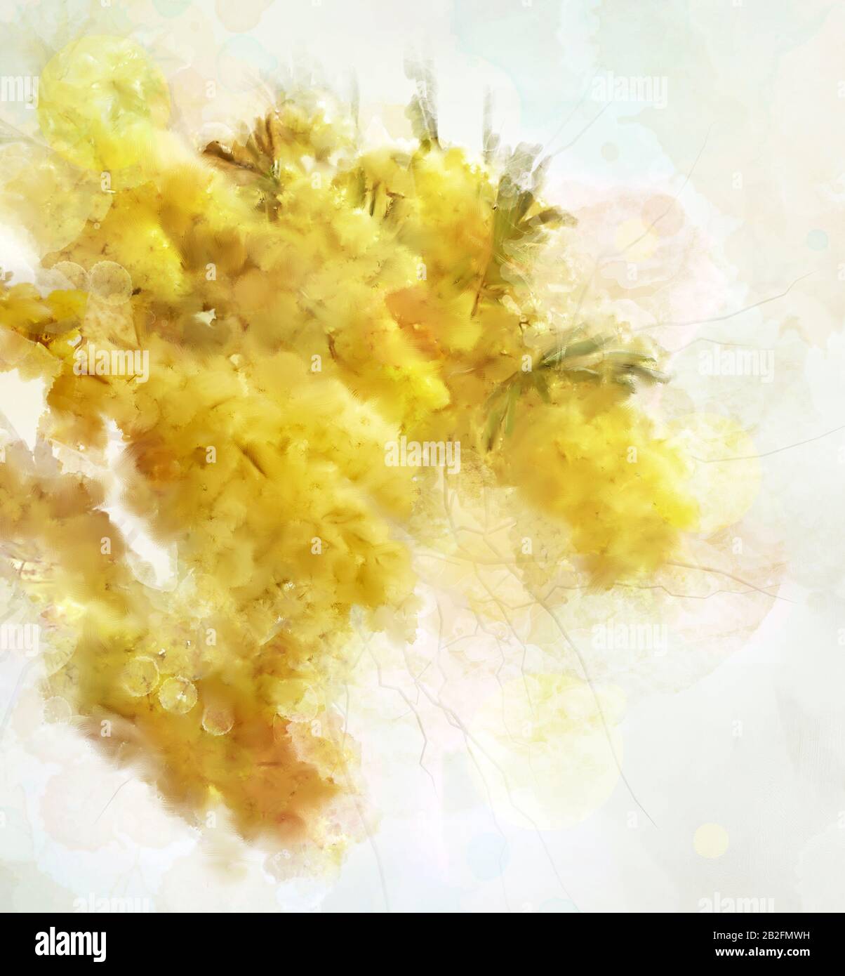 Collezione di fiori primaverili ed estivi – ramo digitale di mimosa acquerello Foto Stock