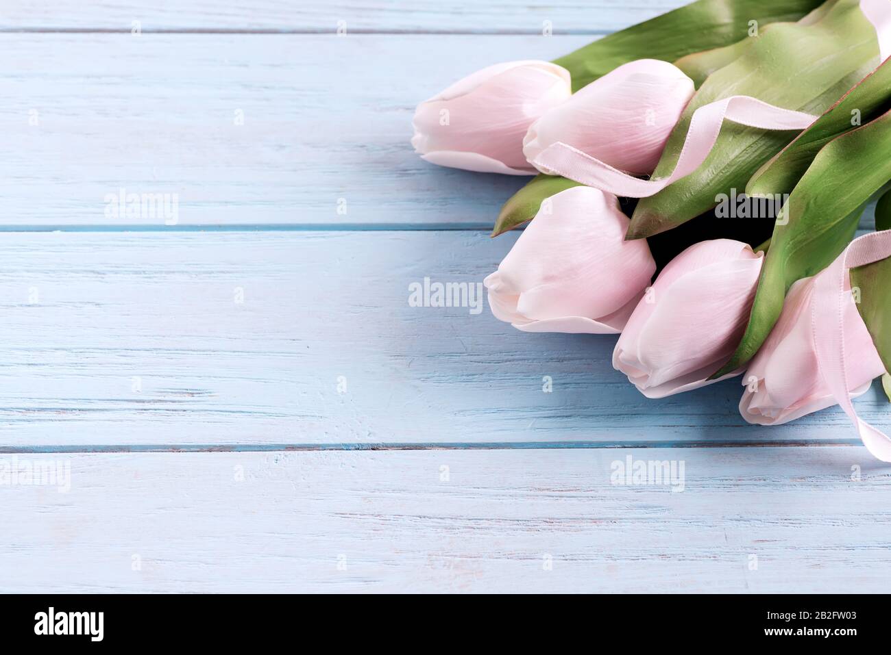 Biglietto di auguri festoso con fiori freschi e tenui tulipani rosa su sfondo di legno blu pastello. Foto Stock