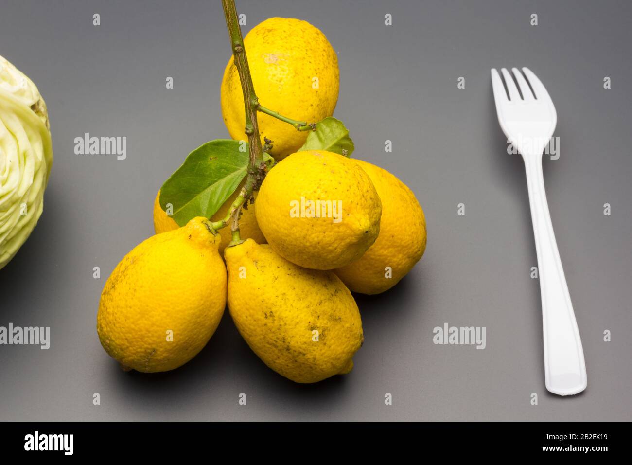 Limoni, agrumi con buccia gialla e molte proprietà aromatizzanti e vitaminiche; ampiamente utilizzati nella cottura e nella cottura. Foto Stock