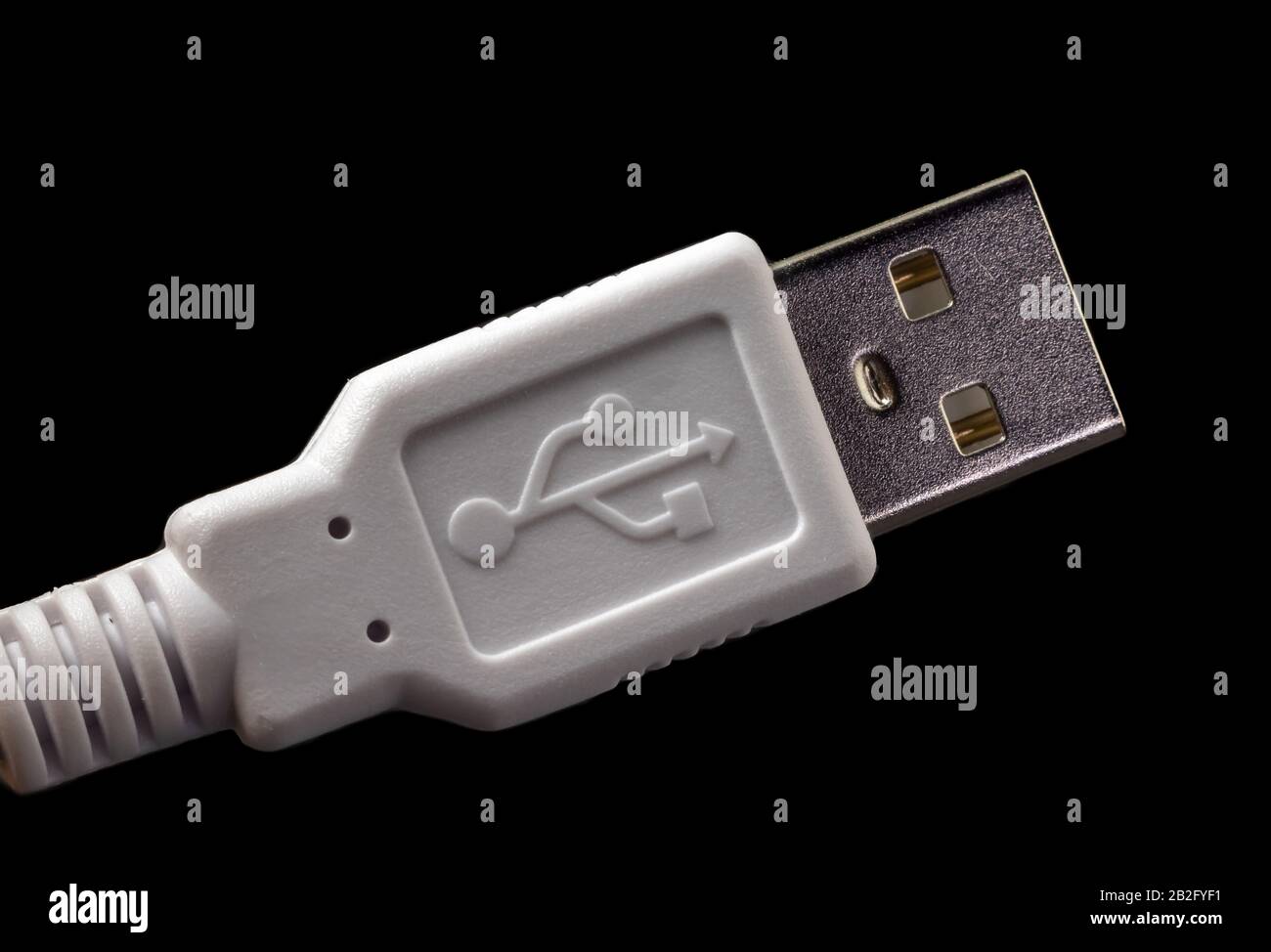 Connettore USB su cavo bianco con logo. Connettore maschio di tipo A standard isolato su nero. Foto Stock